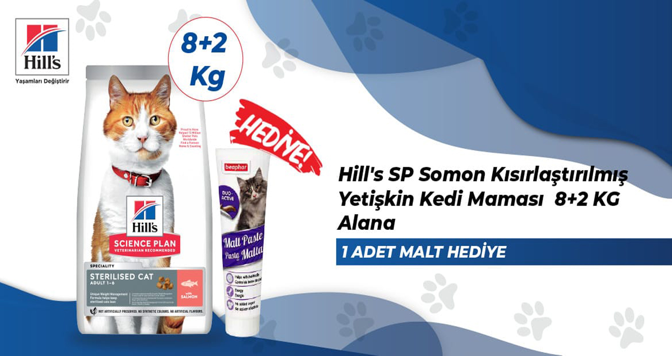 Hills Kampanya 10 Kg Kedi