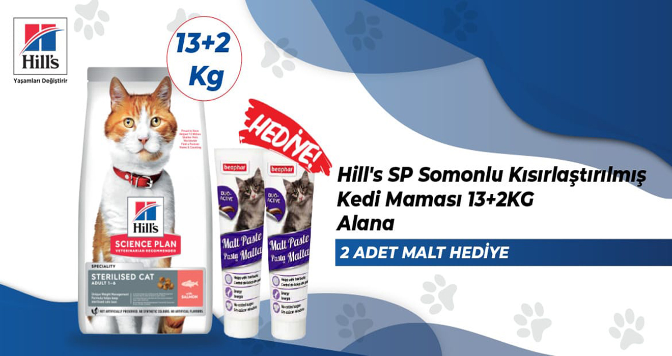 Hills Kampanya 15 Kg Kedi
