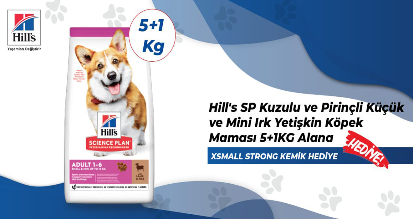 Hills Kampanya Köpek M