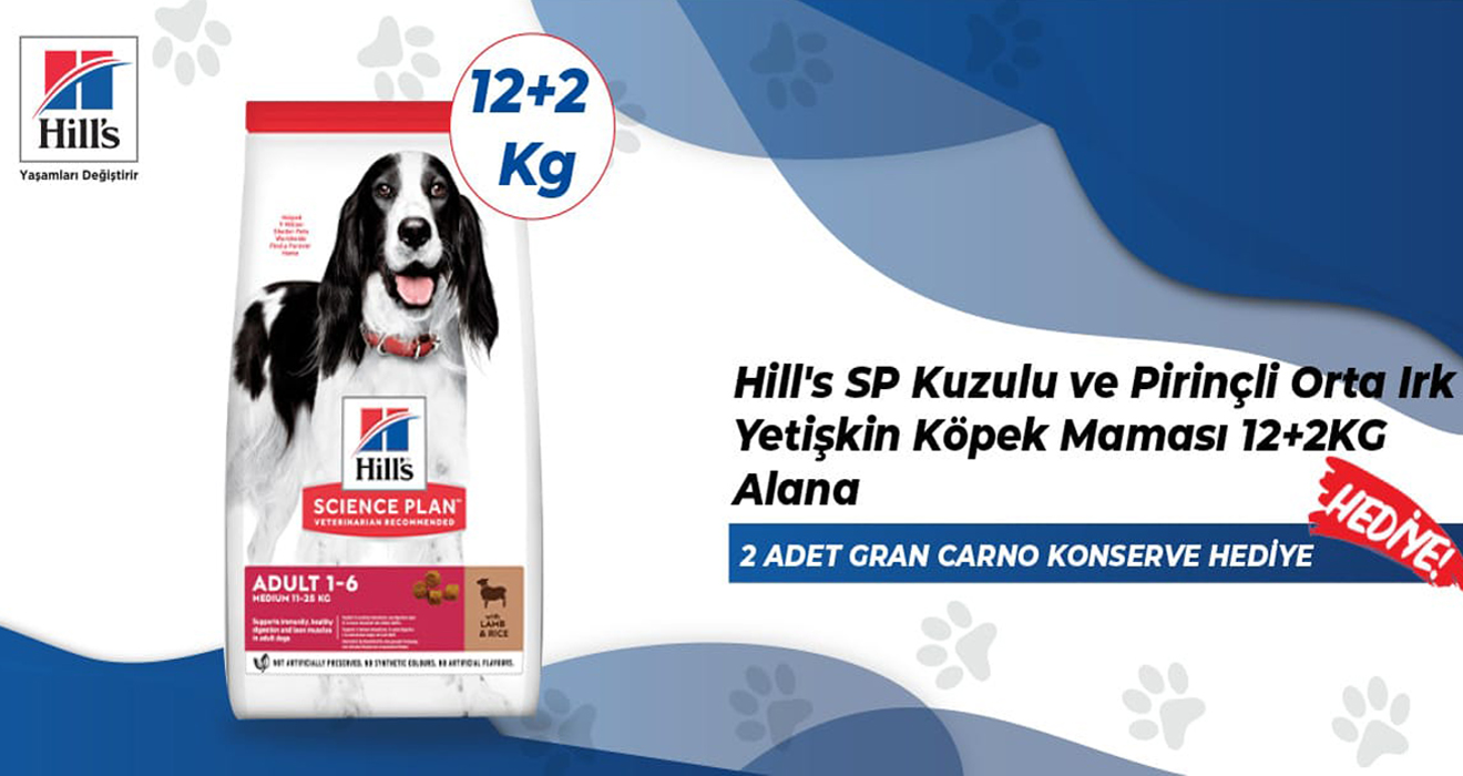 Hills Kampanya Köpek Medium