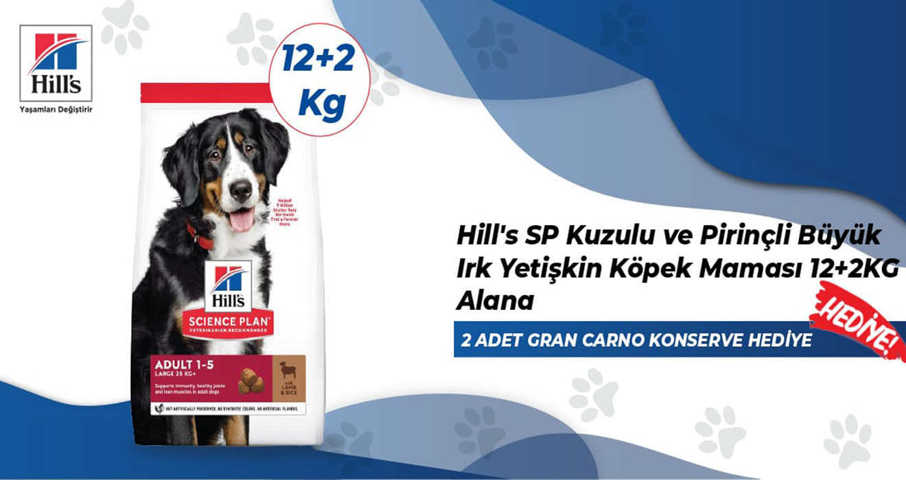 Hills Kampaya Köpek Large