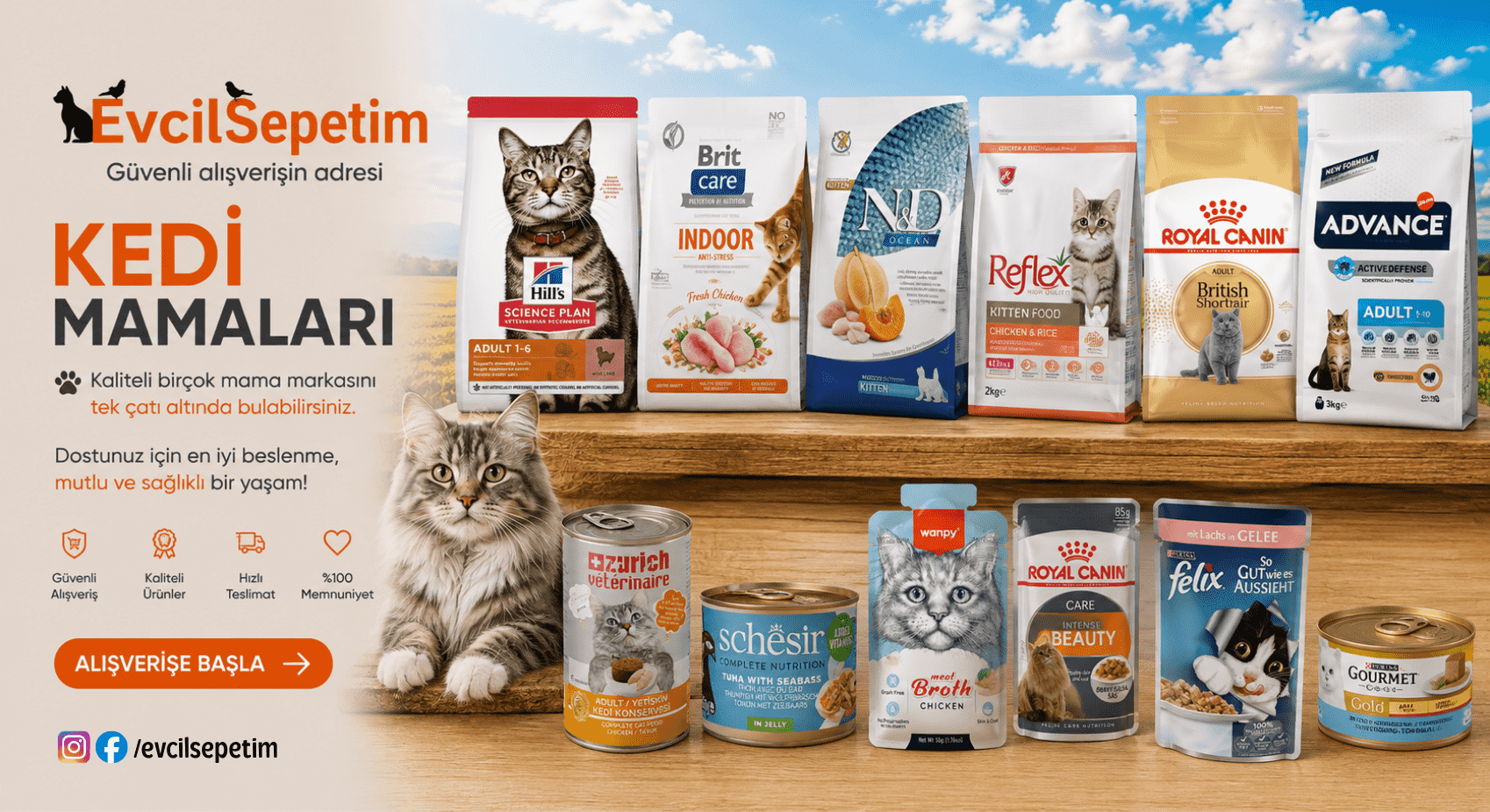 Kedi Mamaları