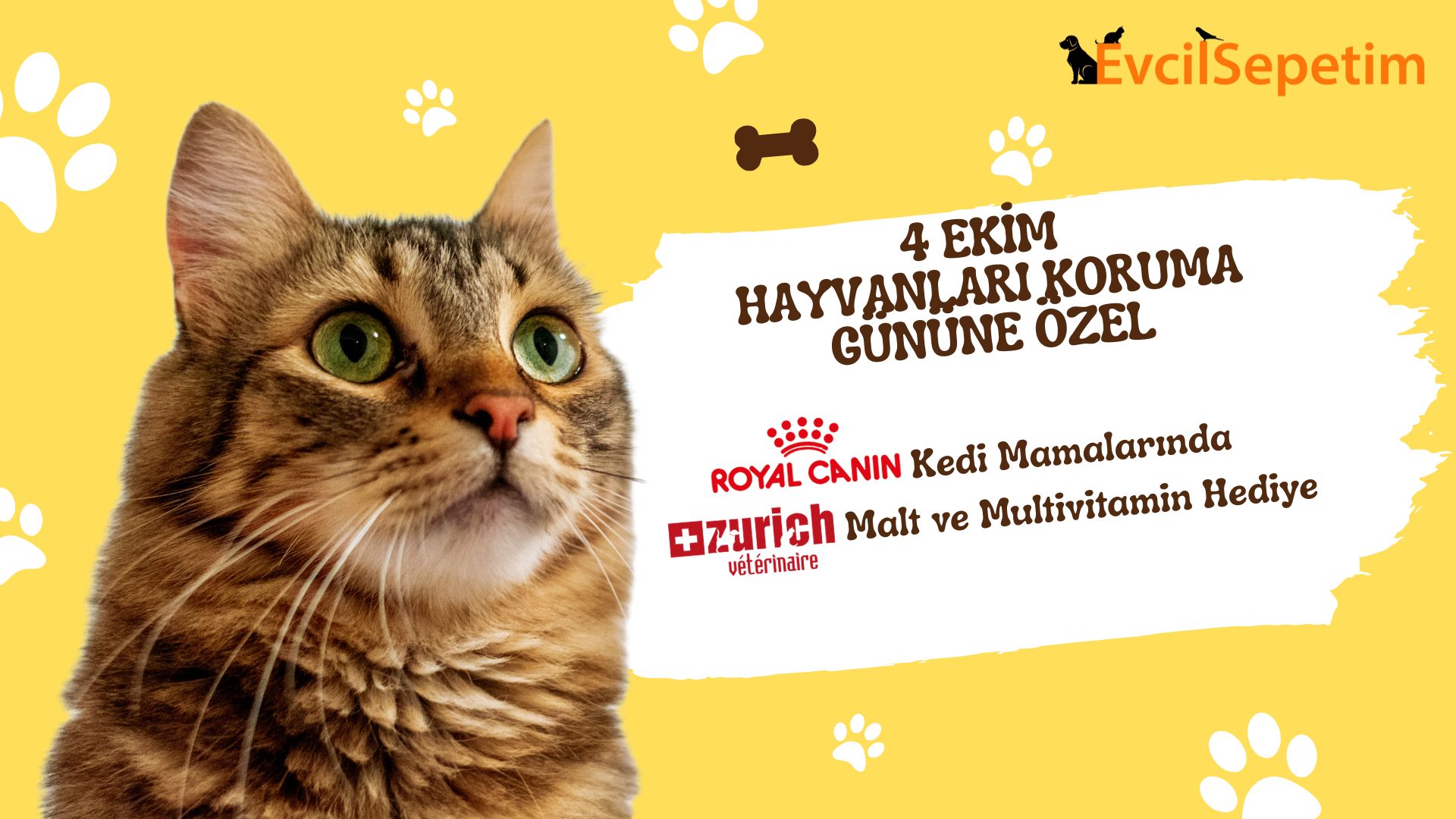 Royal canin kedi maması