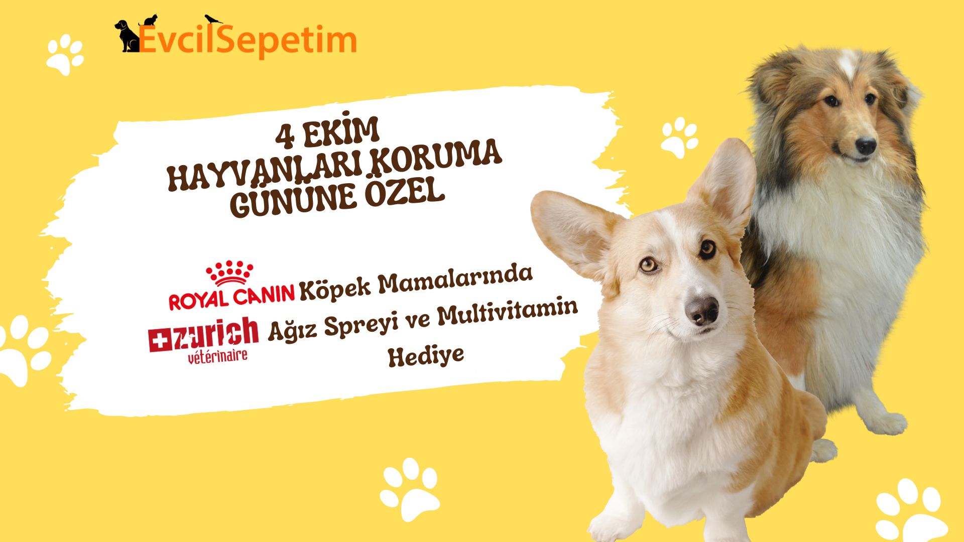 Royal canin köpek maması