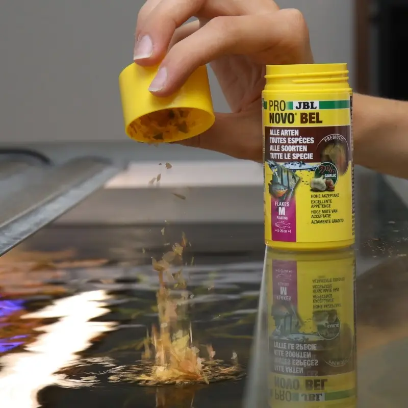 Jbl Pronovo Bel Flakes M 100ml Jbl Pronovo Bel Flakes M 100ml