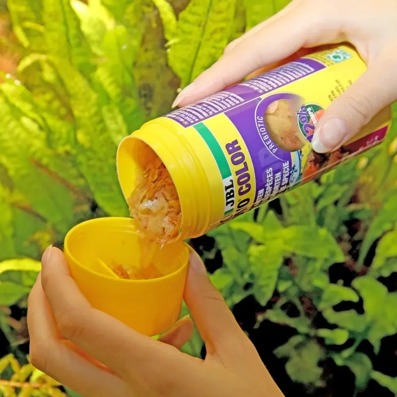 Jbl Pronovo Color Flakes M 100ml Jbl Pronovo Color Flakes M 100ml