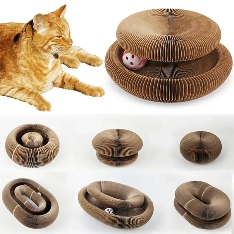 Kedi Tırmalama Toplu Akordiyon Oyuncak