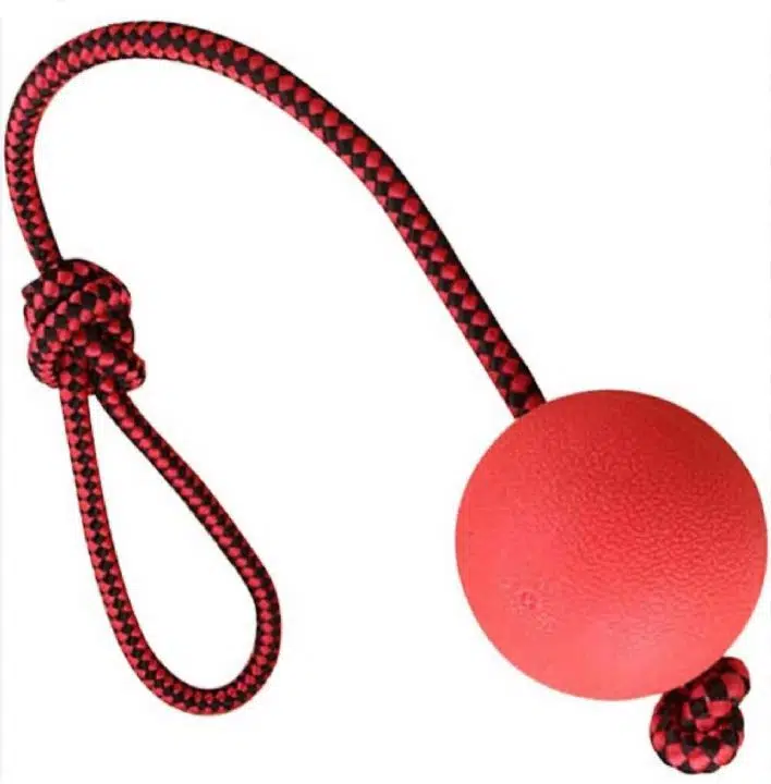Nunbell Köpek Oyuncağı sert Top 155gr
