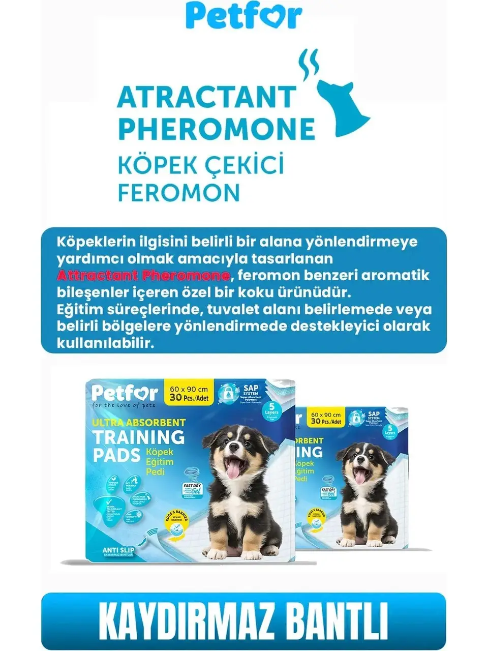 Petfor Kaydırmaz Tuvalet Eğitim Pedi 60x90cm 30lu Petfor Kaydırmaz Tuvalet Eğitim Pedi 60x90cm 30lu